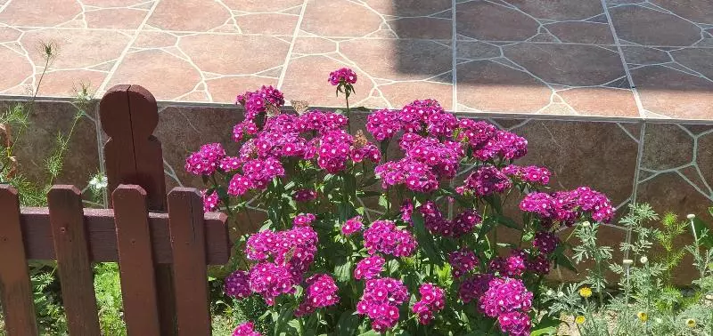 ペンション Belvedere La Cristina