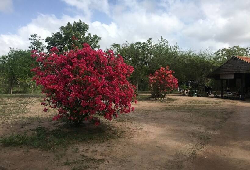פנסיון Captains Bird Safari Lodge