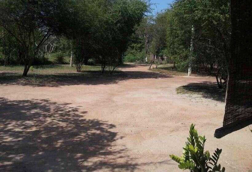 פנסיון Captains Bird Safari Lodge