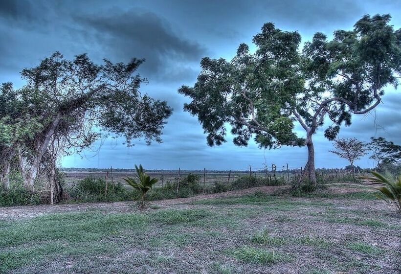 פנסיון Captains Bird Safari Lodge