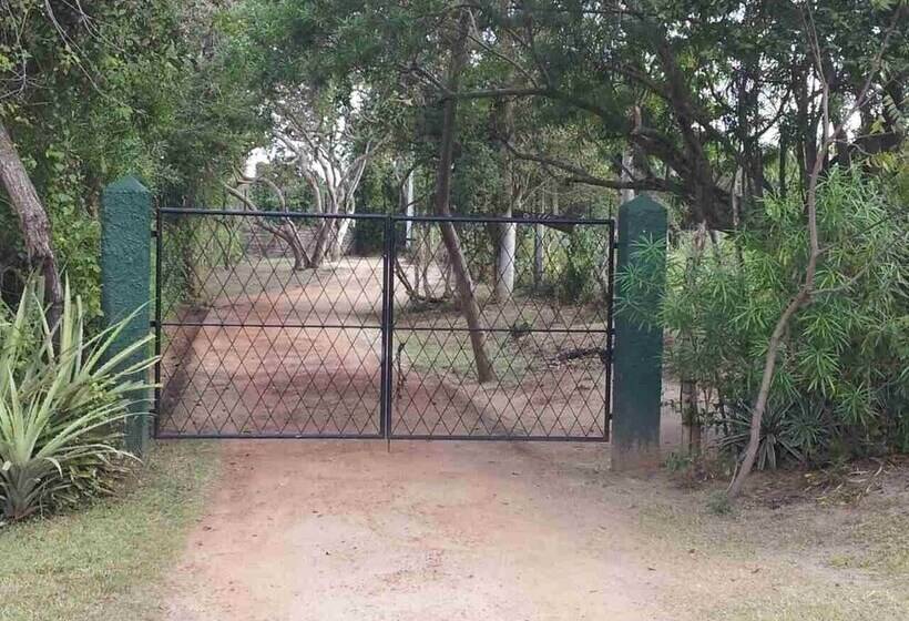 פנסיון Captains Bird Safari Lodge