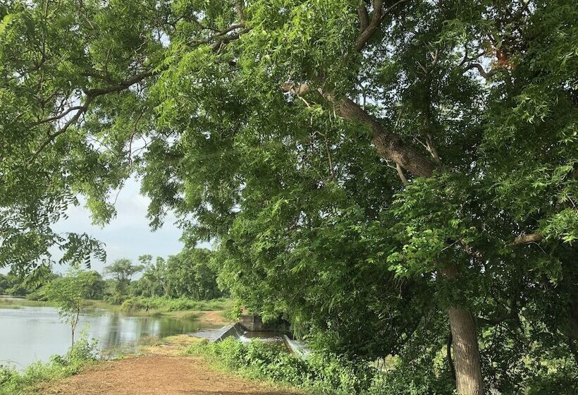 פנסיון Captains Bird Safari Lodge