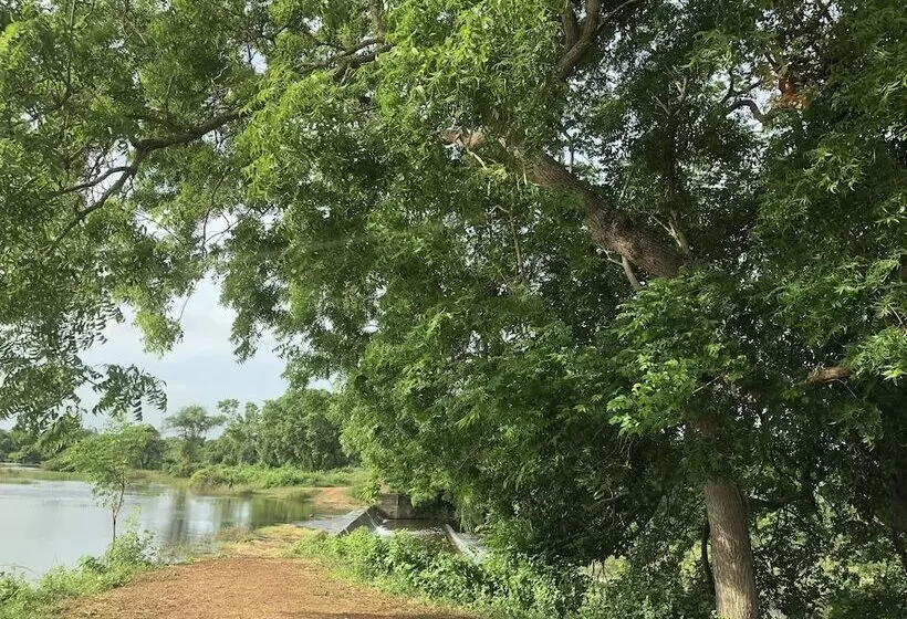 Majatalo Captains Bird Safari Lodge
