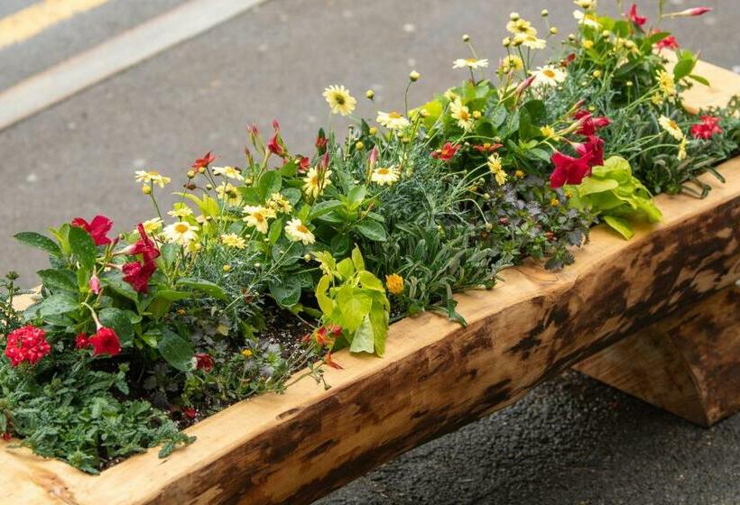 旅馆 Gästehaus Schäfli