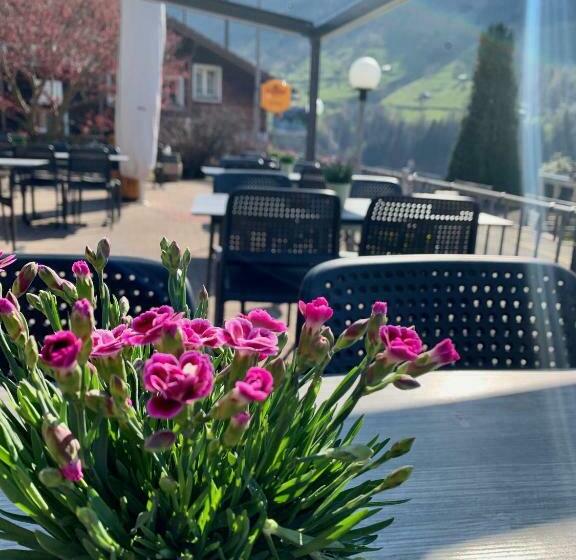 旅馆 Gästehaus Schäfli