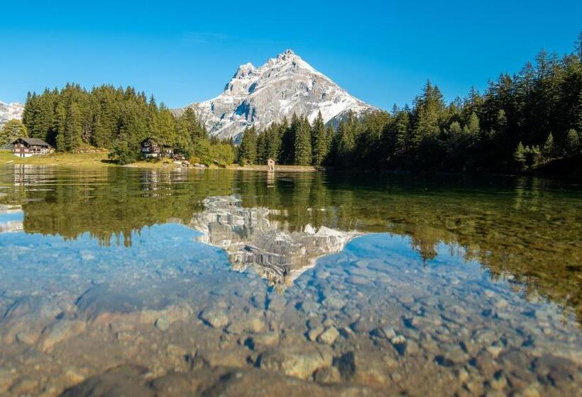 旅馆 Gästehaus Schäfli