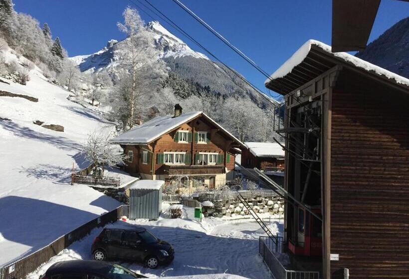 旅馆 Gästehaus Schäfli