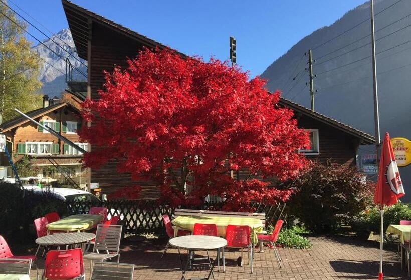 旅馆 Gästehaus Schäfli