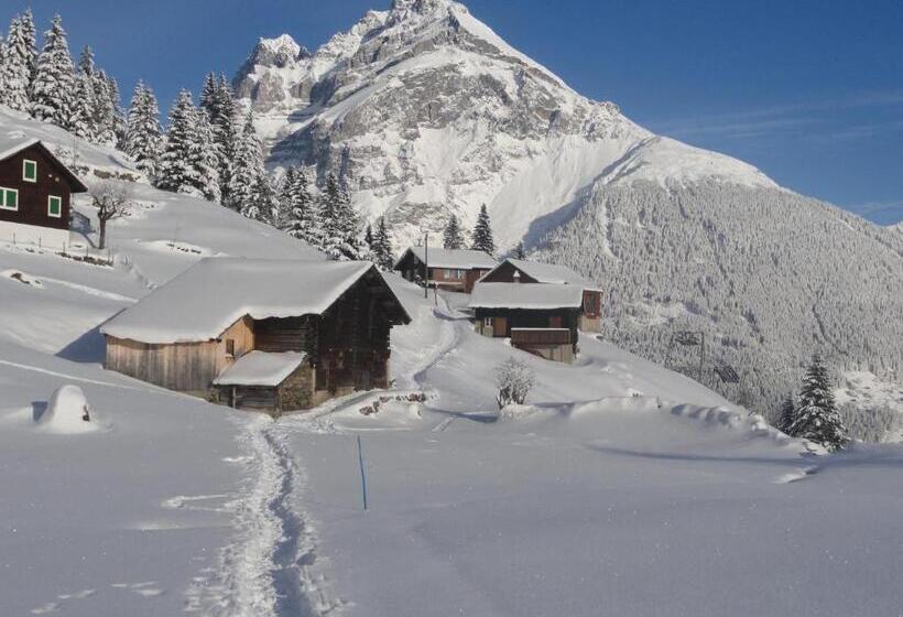 旅馆 Gästehaus Schäfli
