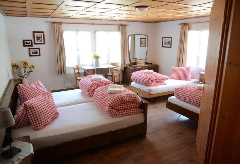 旅馆 Gästehaus Schäfli