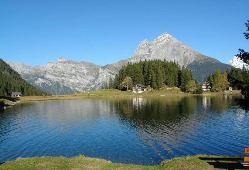 旅馆 Gästehaus Schäfli