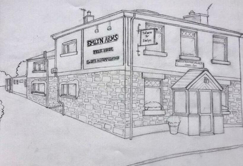 مبيت وإفطار Emlyn Arms