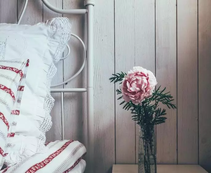 ベッドアンドブレックファースト Farmors Lada