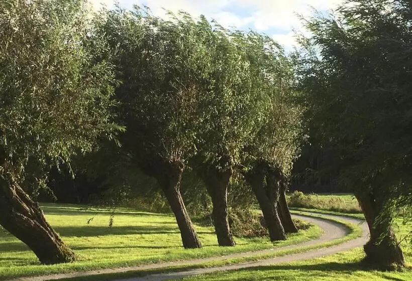 Bed and Breakfast Landgoed Wilgenheerd