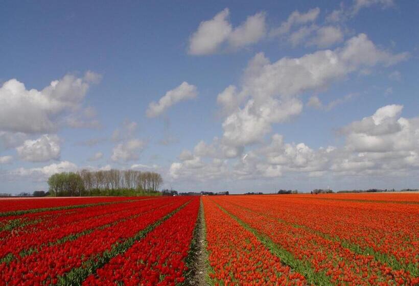 Bed and Breakfast Landgoed Wilgenheerd