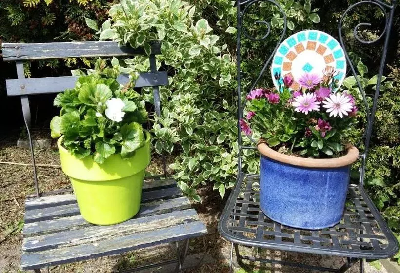 Bed & Breakfast Prins Hendrik