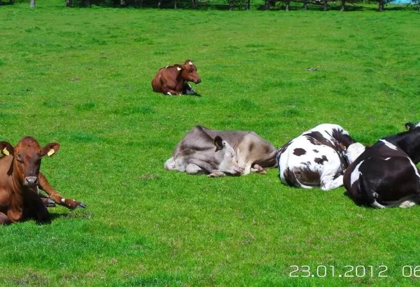 Bed & Breakfast Prins Hendrik