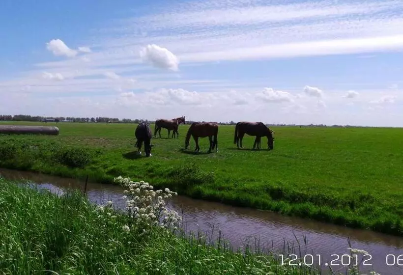 Bed & Breakfast Prins Hendrik