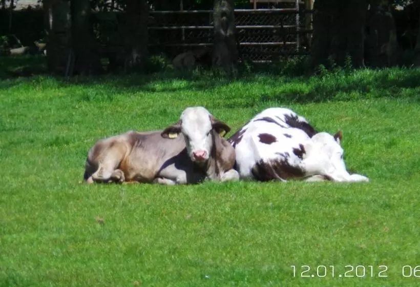 Bed & Breakfast Prins Hendrik