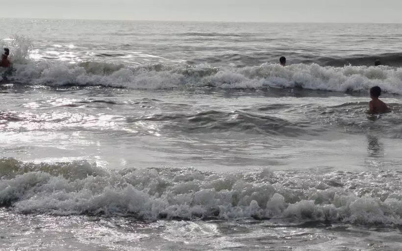 Bed & Breakfast Prins Hendrik