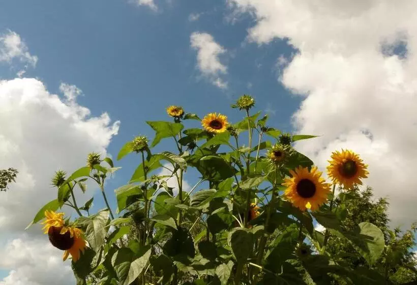 Bed & Breakfast Prins Hendrik