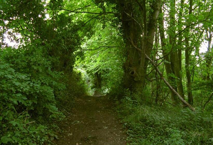 فندق Appartement Hoeve Espewey   Leisure Only