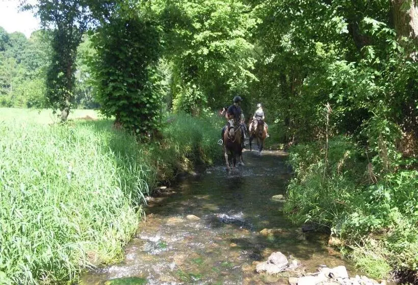 ホテル Appartement Hoeve Espewey Leisure Only