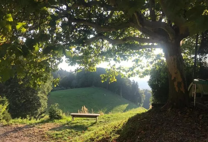 Landgasthof Und Seminarhotel Lueg