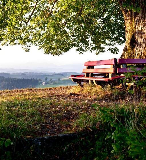 Landgasthof Und Seminarhotel Lueg