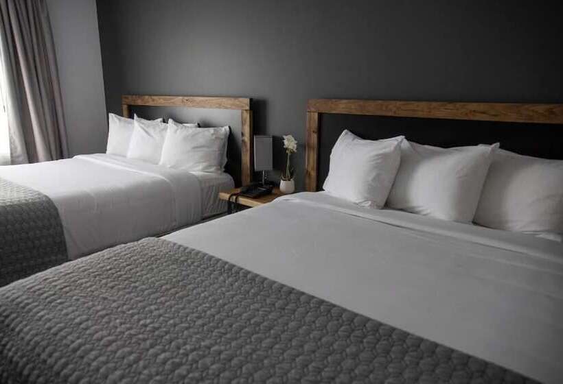 فندق على الطريق Hôtel Napoléon