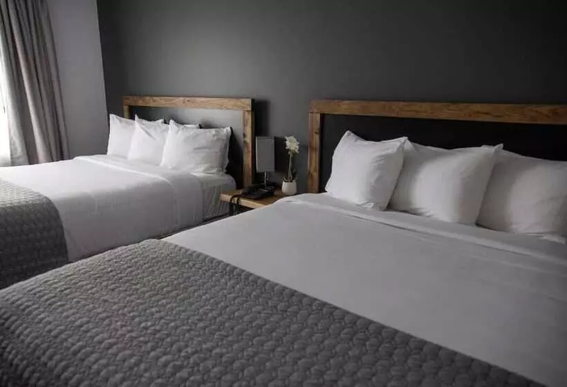 Motelli Hôtel Napoléon