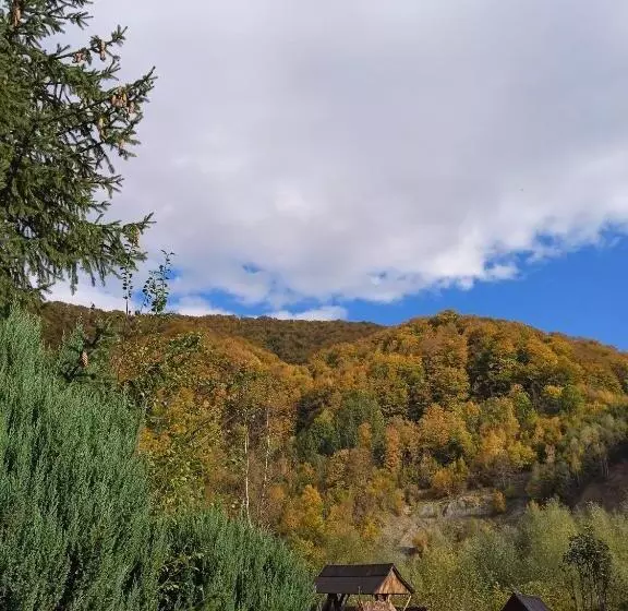 Majatalo Stara Khata карпати