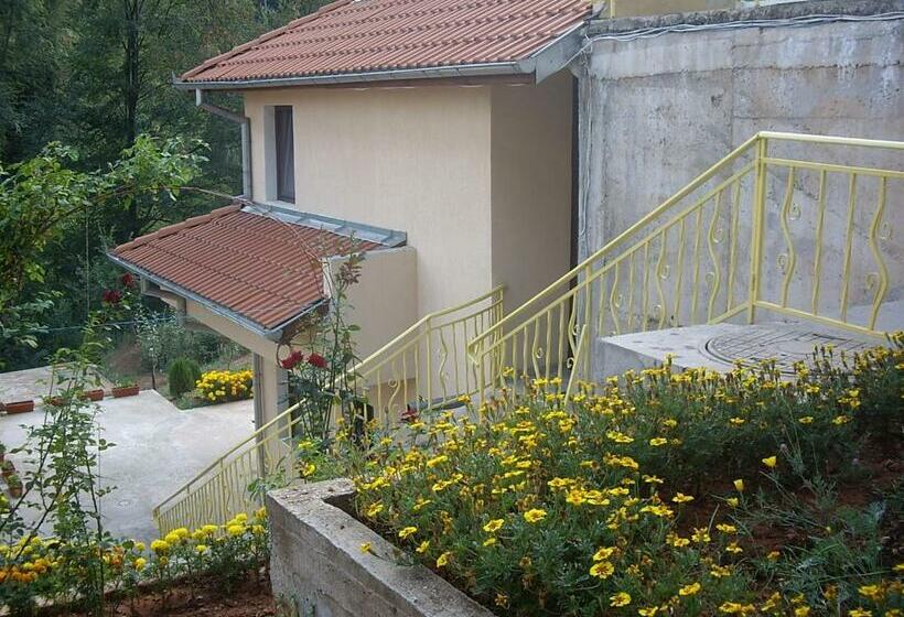 膳宿费 Villa Shipkovo