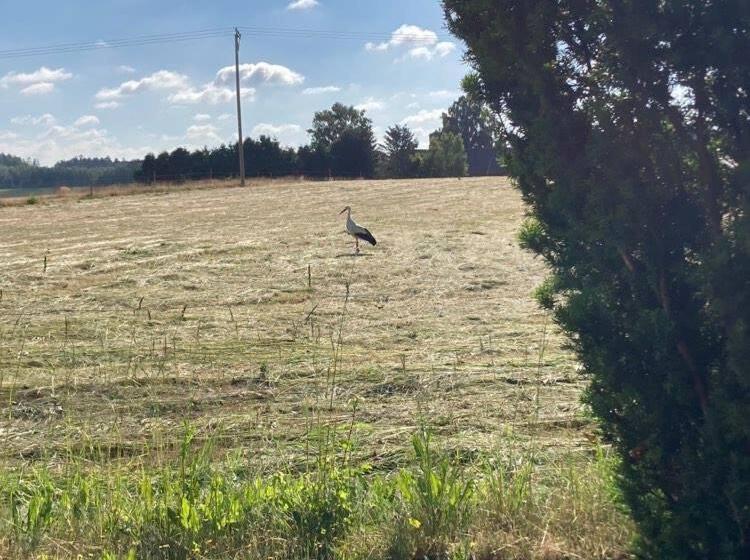 Stf Vandrarhem Blentarp