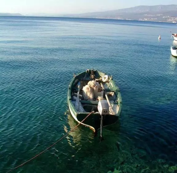 ホテル Adriatic