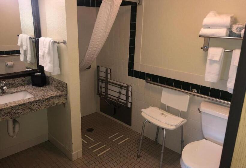 Cobblestone Hotel & Suites   Wisconsin Rapids