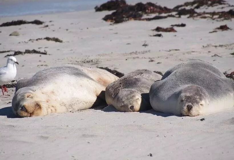 Отель Mercure Kangaroo Island Lodge