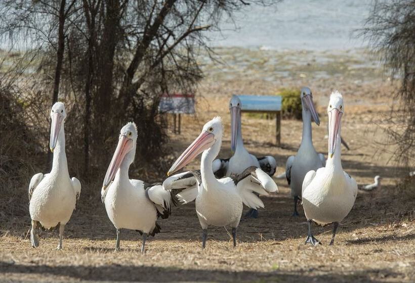 فندق Mercure Kangaroo Island Lodge