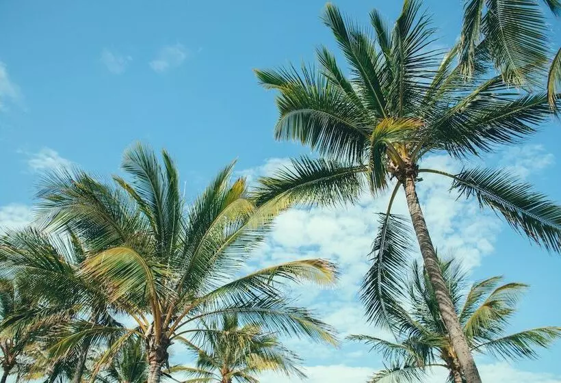 ホテル Nomads Magnetic Island