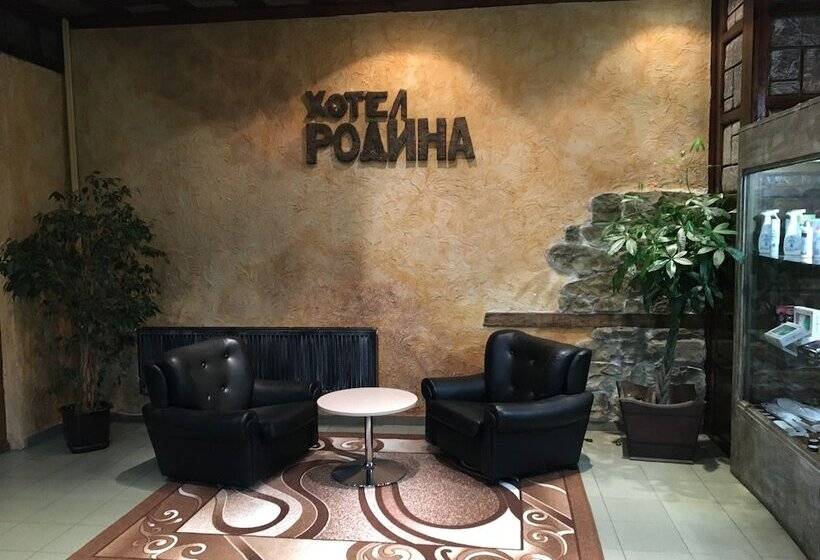 Отель Rodina