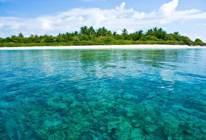 استراحتگاه Coco Palm Dhuni Kolhu