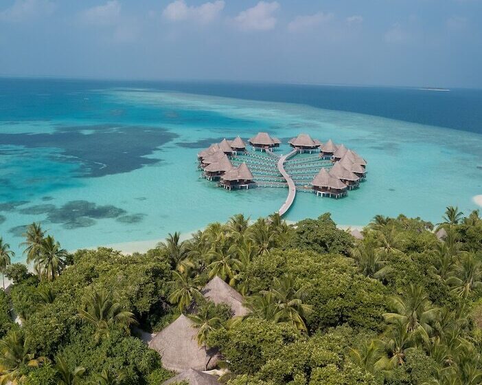 استراحتگاه Coco Palm Dhuni Kolhu