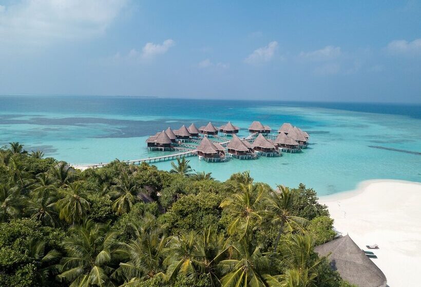 استراحتگاه Coco Palm Dhuni Kolhu