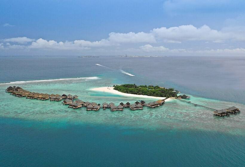 استراحتگاه Coco Palm Dhuni Kolhu