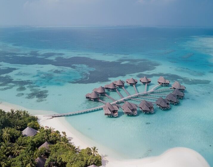 استراحتگاه Coco Palm Dhuni Kolhu