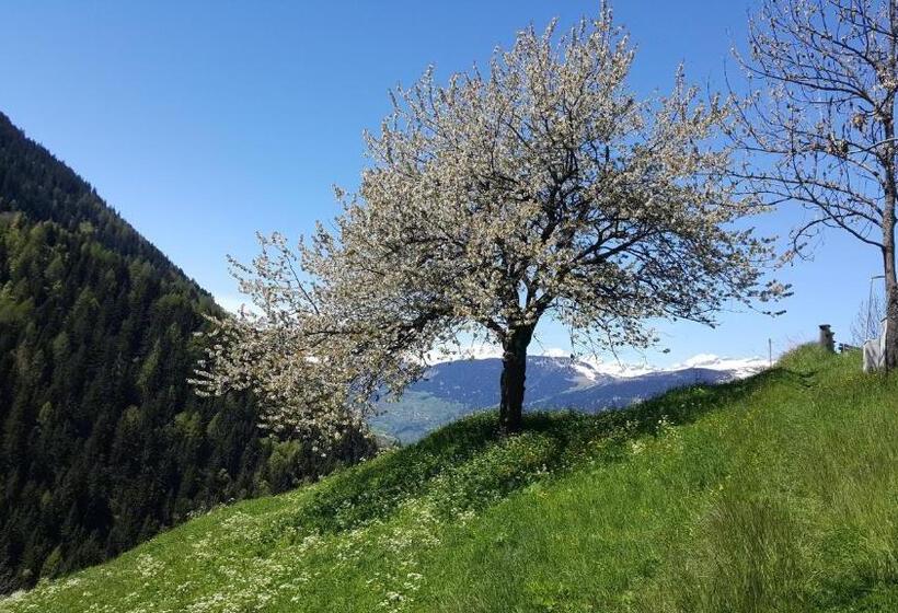 Общежитие Jägerheim