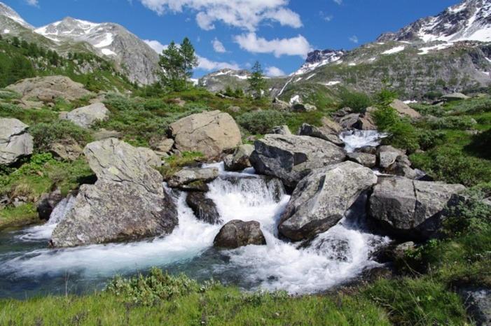 Общежитие Jägerheim