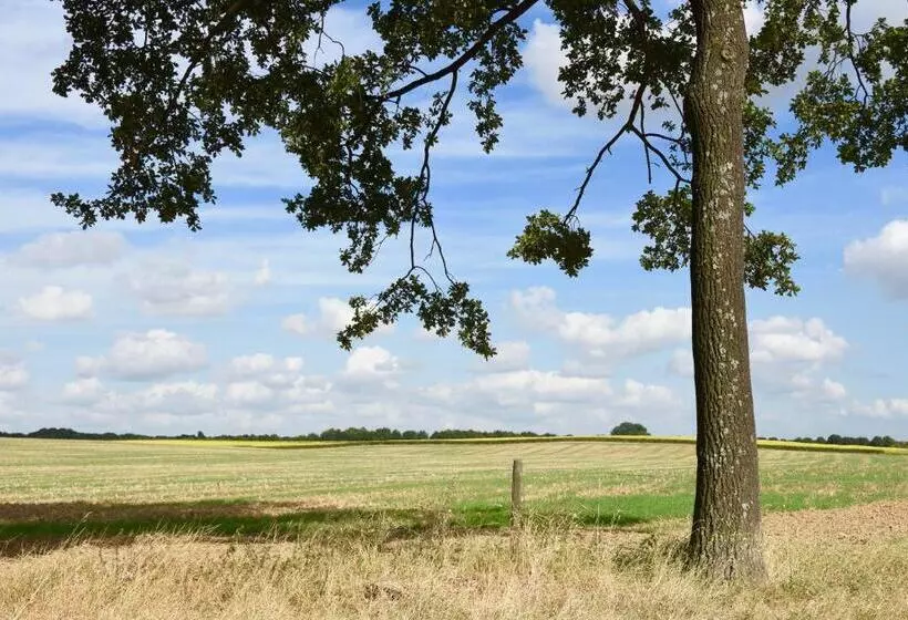 Aamiaismajoitus (B&B) De Hagendoorn