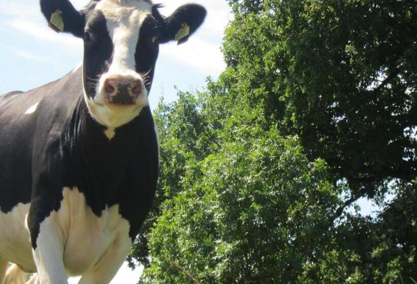 צימר Pipowagen Minicamping De Linde