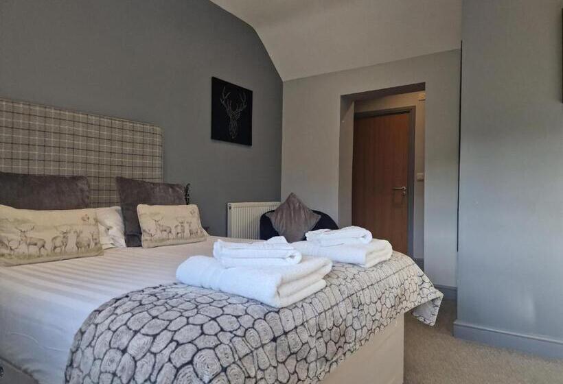 ベッドアンドブレックファースト The Star